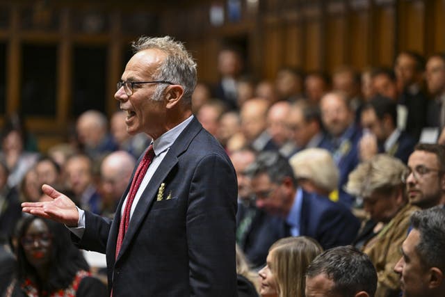 <p>Dr Simon Opher in the House of Commons, London (House of Commons/PA)</p>