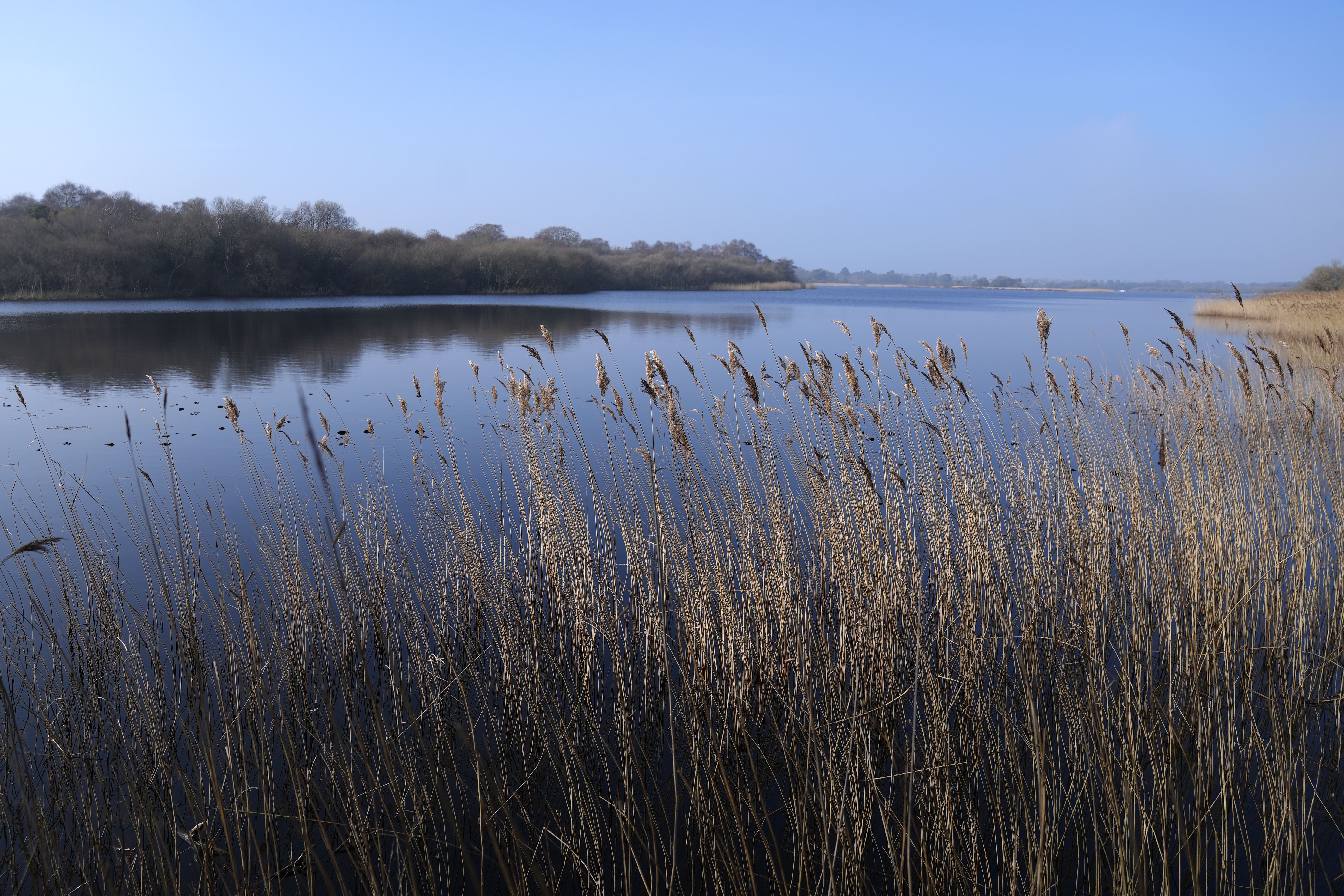 The paper says the UK is one of the most nature-depleted countries in the world (Andrew Matthews/PA)