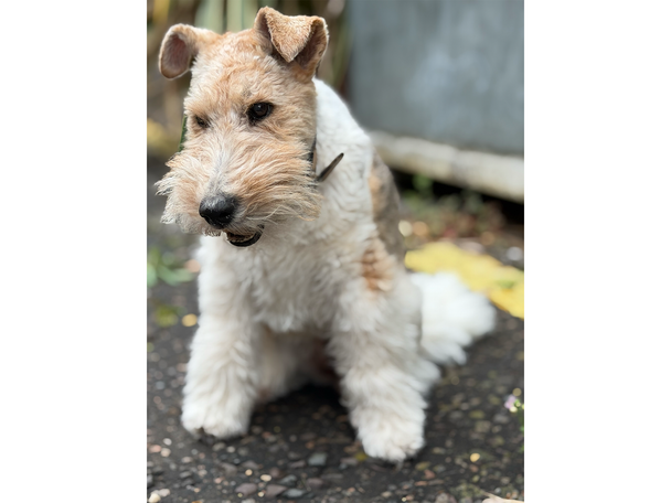 Photography looks great