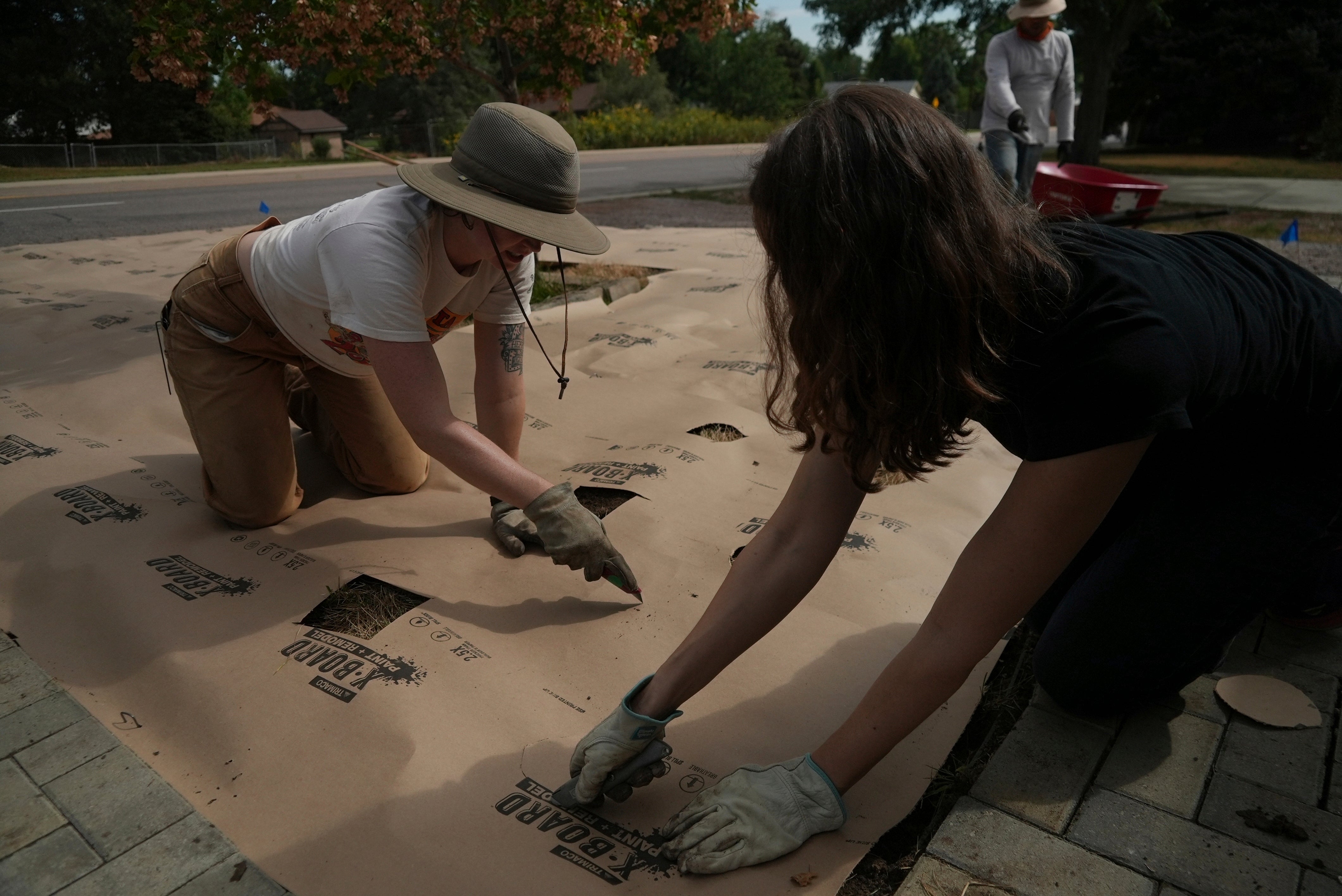 Climate Choices Lawns Water Saving