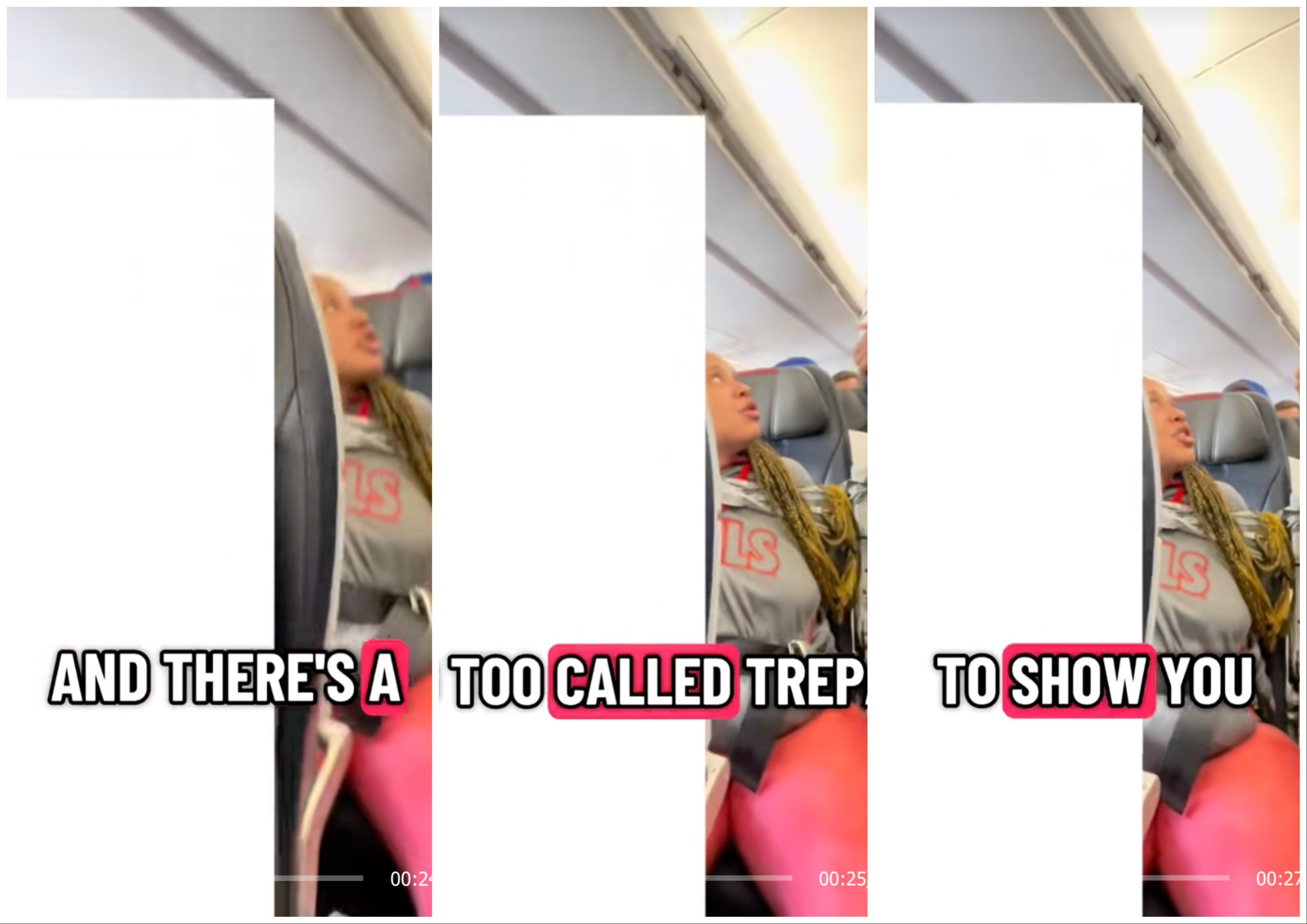 Ketty Dilone can be seen aboard American Airlines flight 2470 in bystander video uploaded to TikTok (the white bars were added by the uploader to protect another passenger's privacy). If convicted, she is facing a maximum of 20 years in prison.