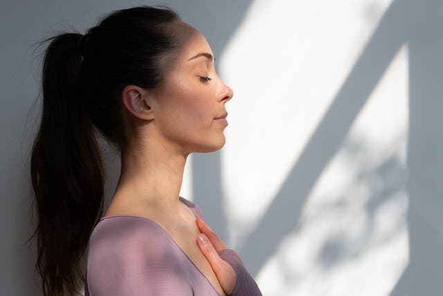 <p>Hatha yoga blends breathwork and meditation with physical poses for strength and flexibility</p>