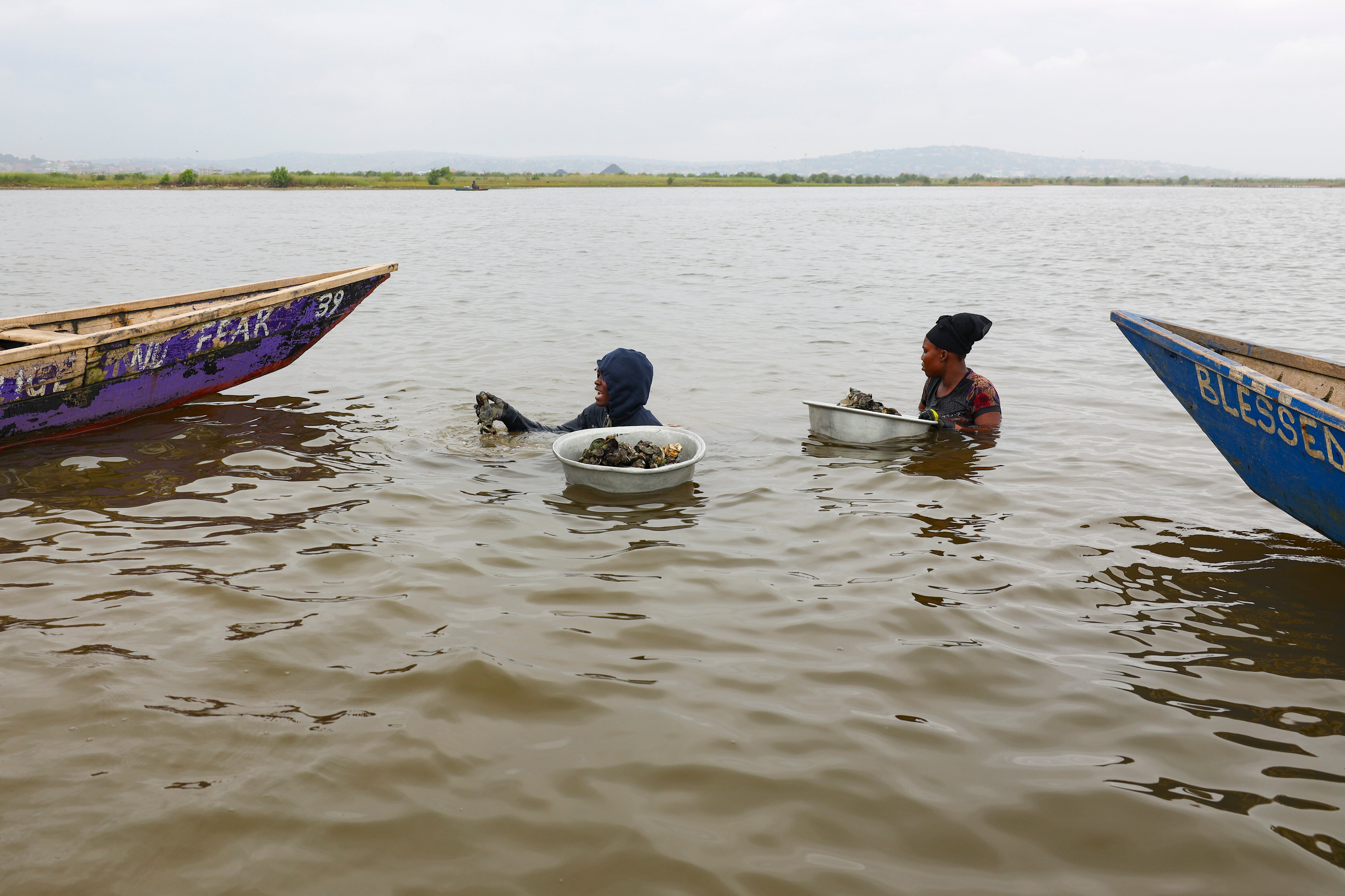 Ghana Women Oyster Farming