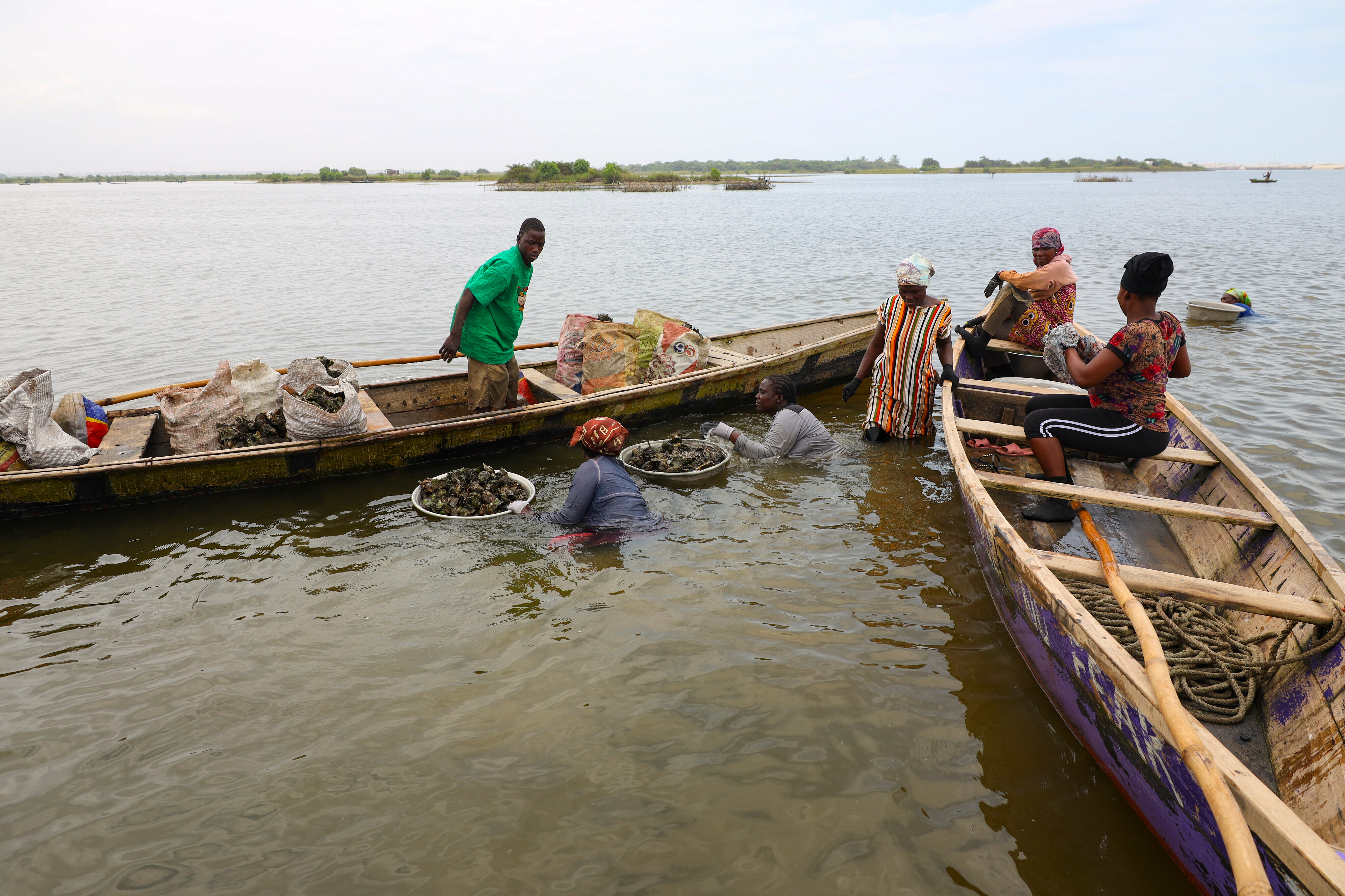 Ghana Women Oyster Farming