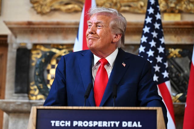 <p>Trump once signed an order banning TikTok. Now he says he ‘likes’ the Chinese-owned app.</p>