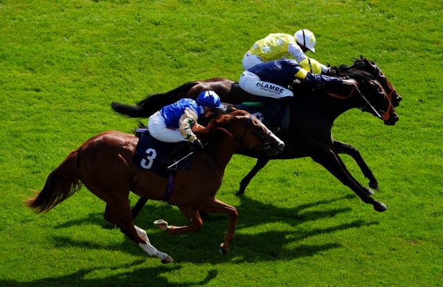 <p>French affair (top) is a fancy at Newbury</p>