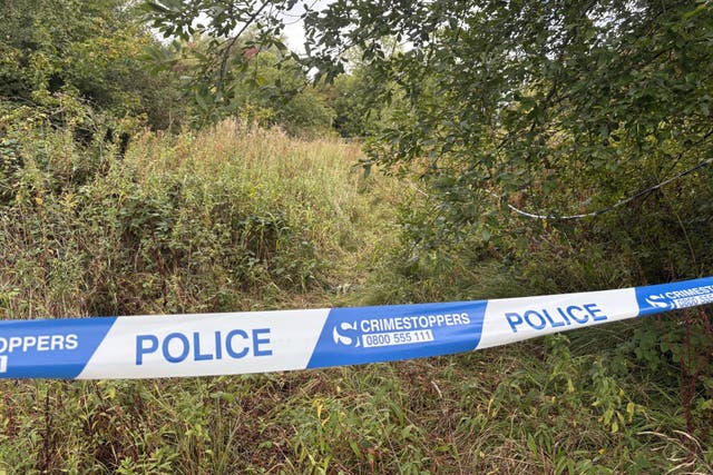 The scene in grassland off Tame Road, Oldbury, where a woman reported being raped in a ‘racially-motivated’ attack (Matthew Cooper/PA)