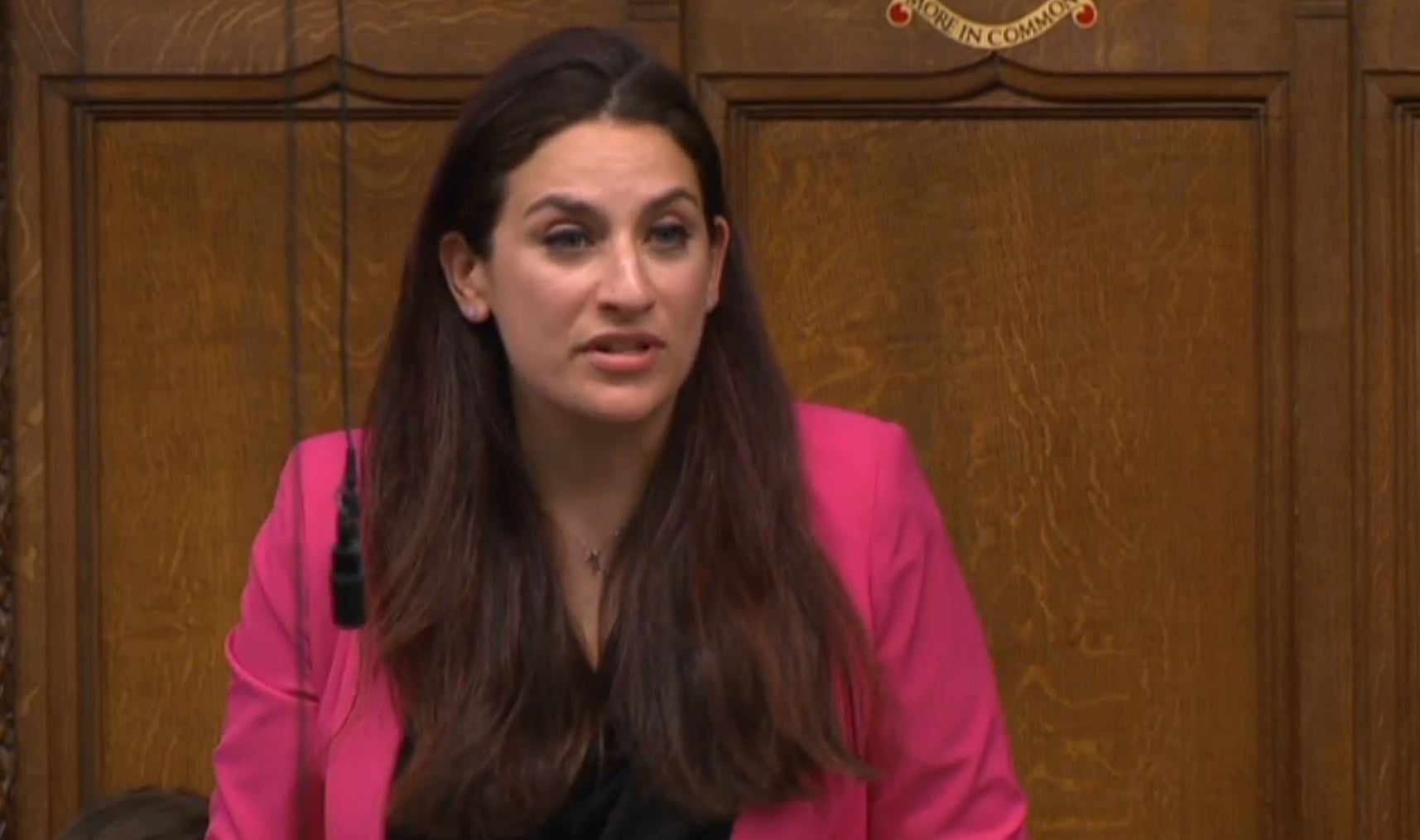Baroness Luciana Berger said the candidate should not “have any role in public life”