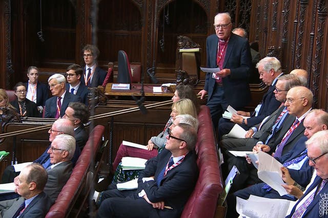 Lord Carey of Clifton speaking during the debate on the assisted dying Bill in the House of Lords (Parliament TV/PA)