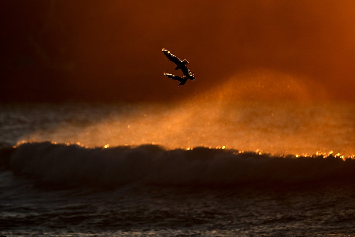 Two people in custody and reports of injuries after gunshots at Australia’s Bondi beach