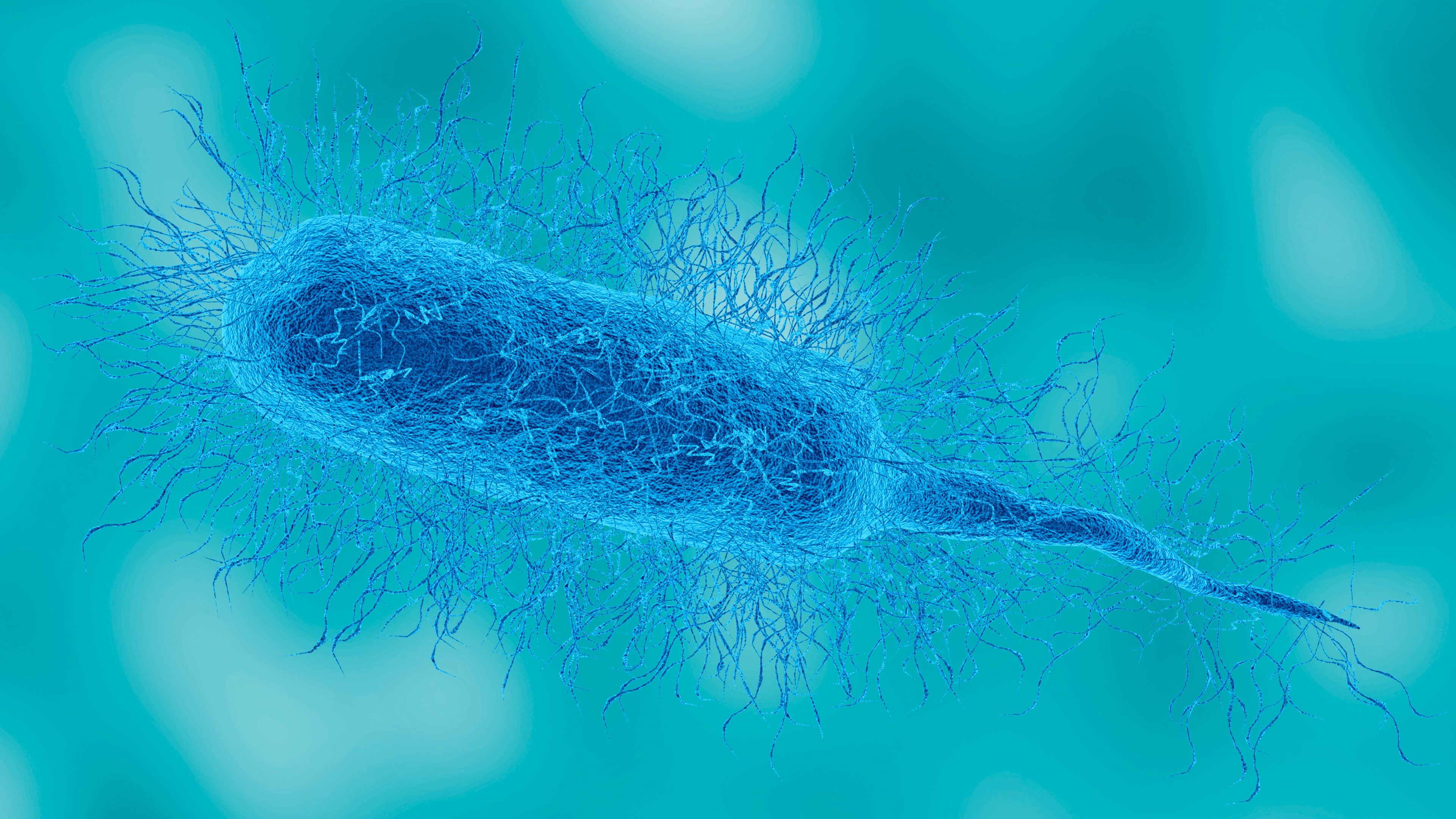 A fifth Louisiana resident has died after being exposed to flesh-eating bacteria known as Vibrio vulnificus