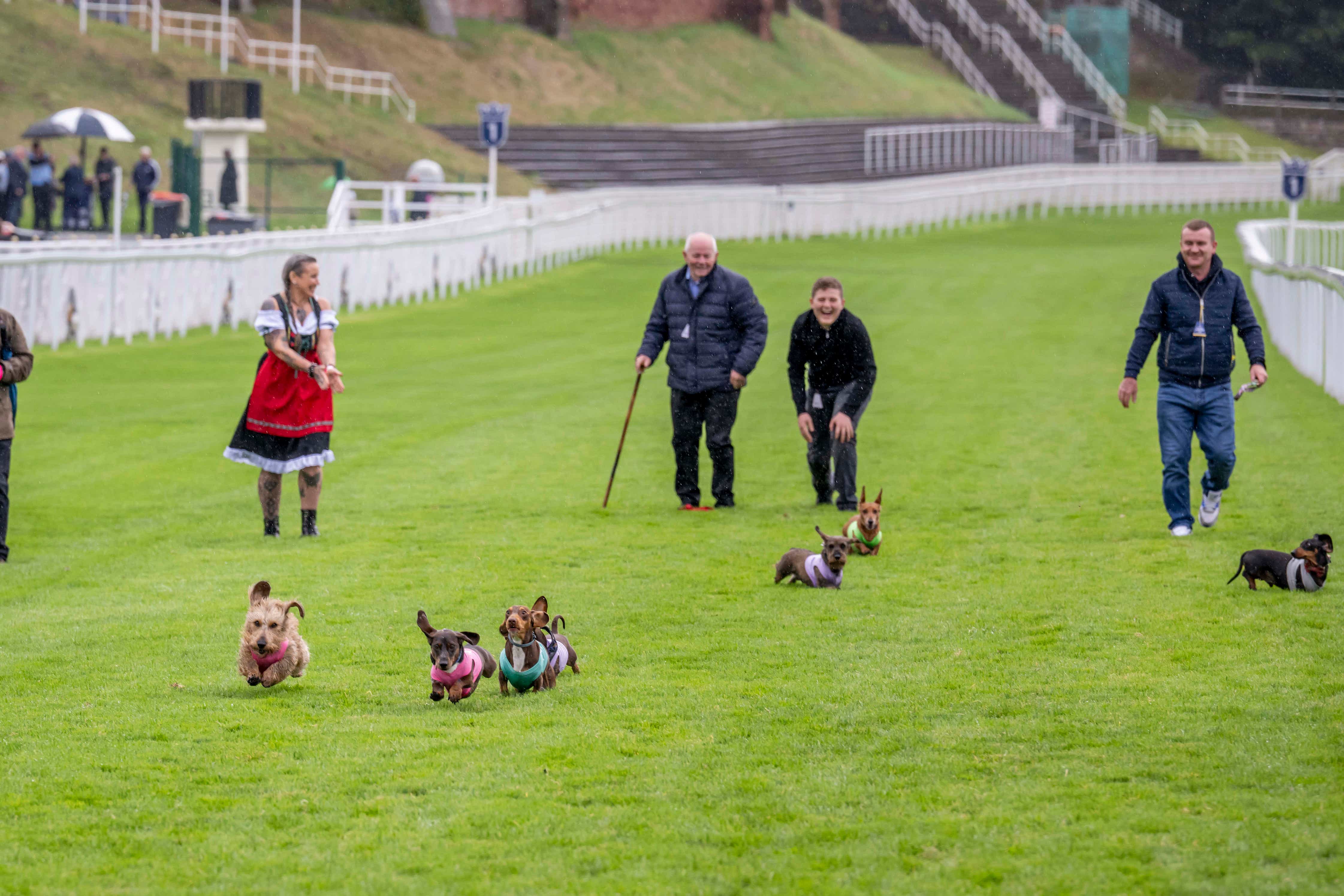 Dachshunds taking part in Chester’s first ever Dachshund Derby (Anthony Devlin/PA)