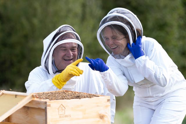 <p>Lib Dem leader Ed Davey and MP Vikki Slade inspect bees in Lytchett Matravers, Dorset</p>