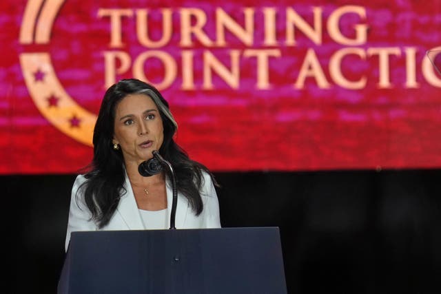 <p>Tulsi Gabbard confirmed the existence of the group during an appearance on Fox News</p>
