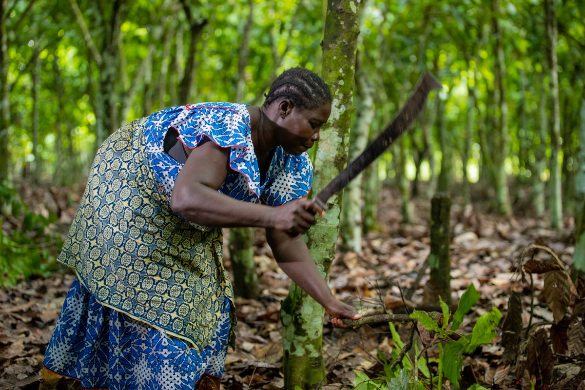 How the climate crisis threatens our food  and the people that grow it