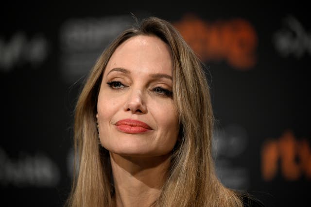 <p>Angelina Jolie had a heightened risk of cancer due to genetics</p>