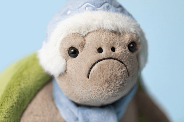 Timmy Turtle Skating