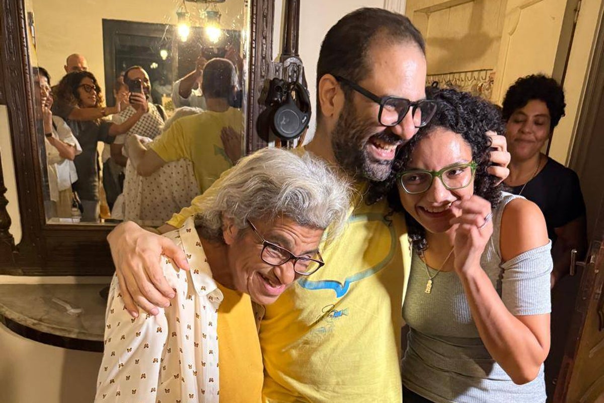 British activist Alaa Abd el-Fattah released from Egyptian prison after Sisi pardon