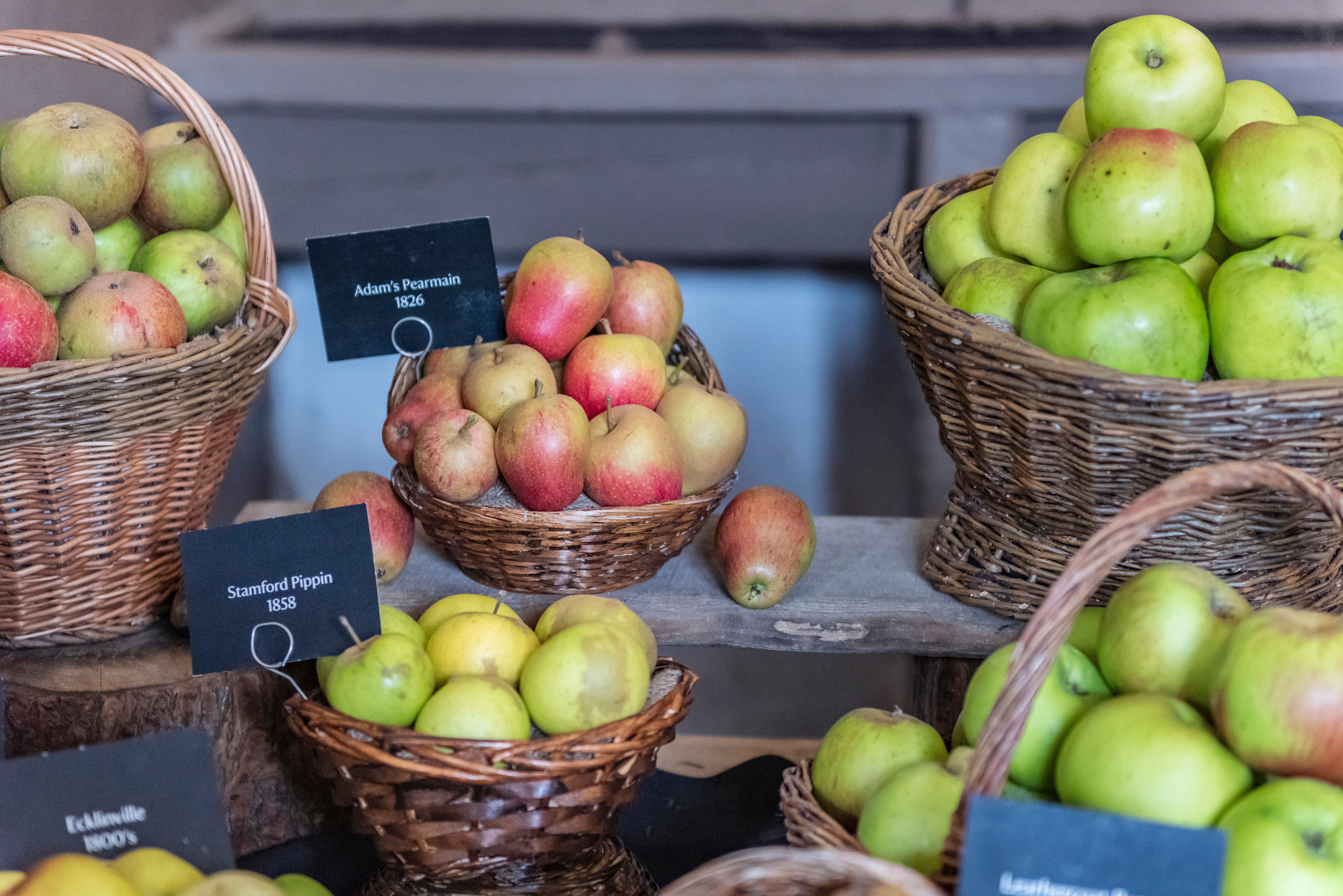 It has been a bumper harvest for heritage apple varieties at Erddig Hall and Garden, Wrexham (Paul Harris/National Trust/PA)