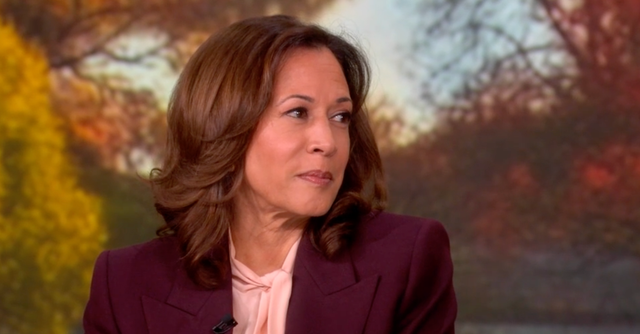 <p>Kamala Harris appeared on 'The View' to discuss her new memoir, '107 Days'</p>