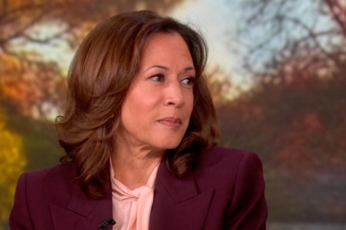 Kamala Harris compares election night grief to loss of her mother on The View