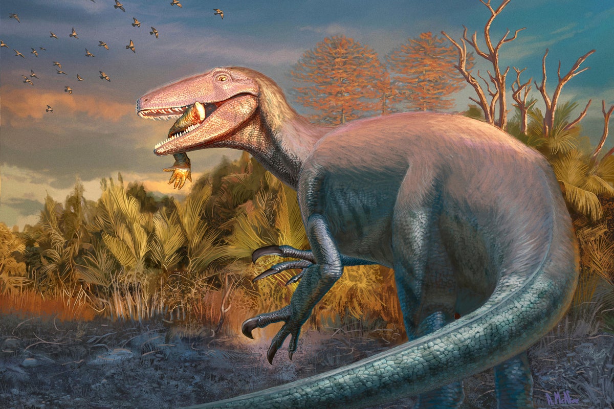 Megaraptor Found with Crocodyliform Humerus