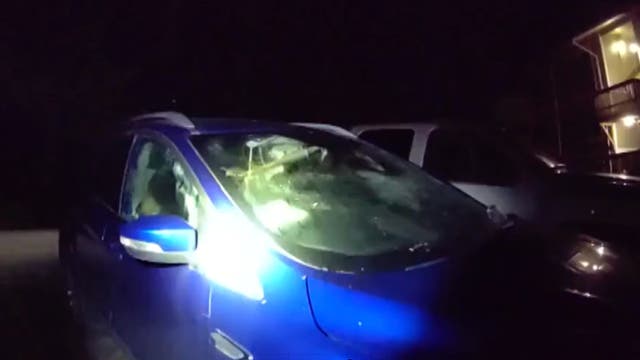 <p>'Incessant honking' helps Alaska cops to find brown bears on SUV joyride</p>