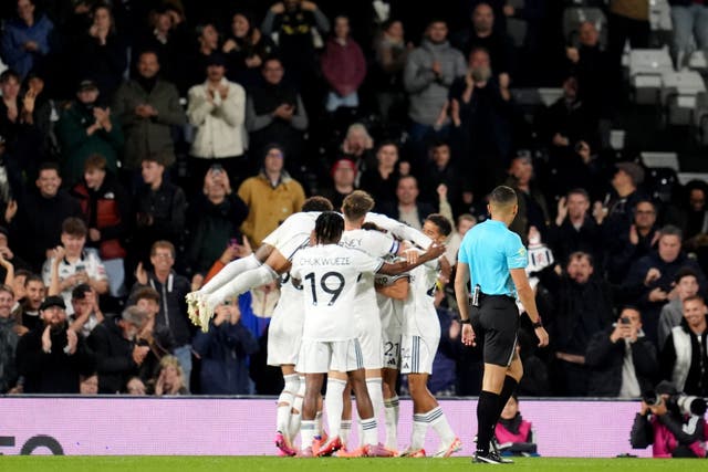 Fulham saw off Cambridge thanks to Emile Smith Rowe’s winner (Adam Davy/PA).