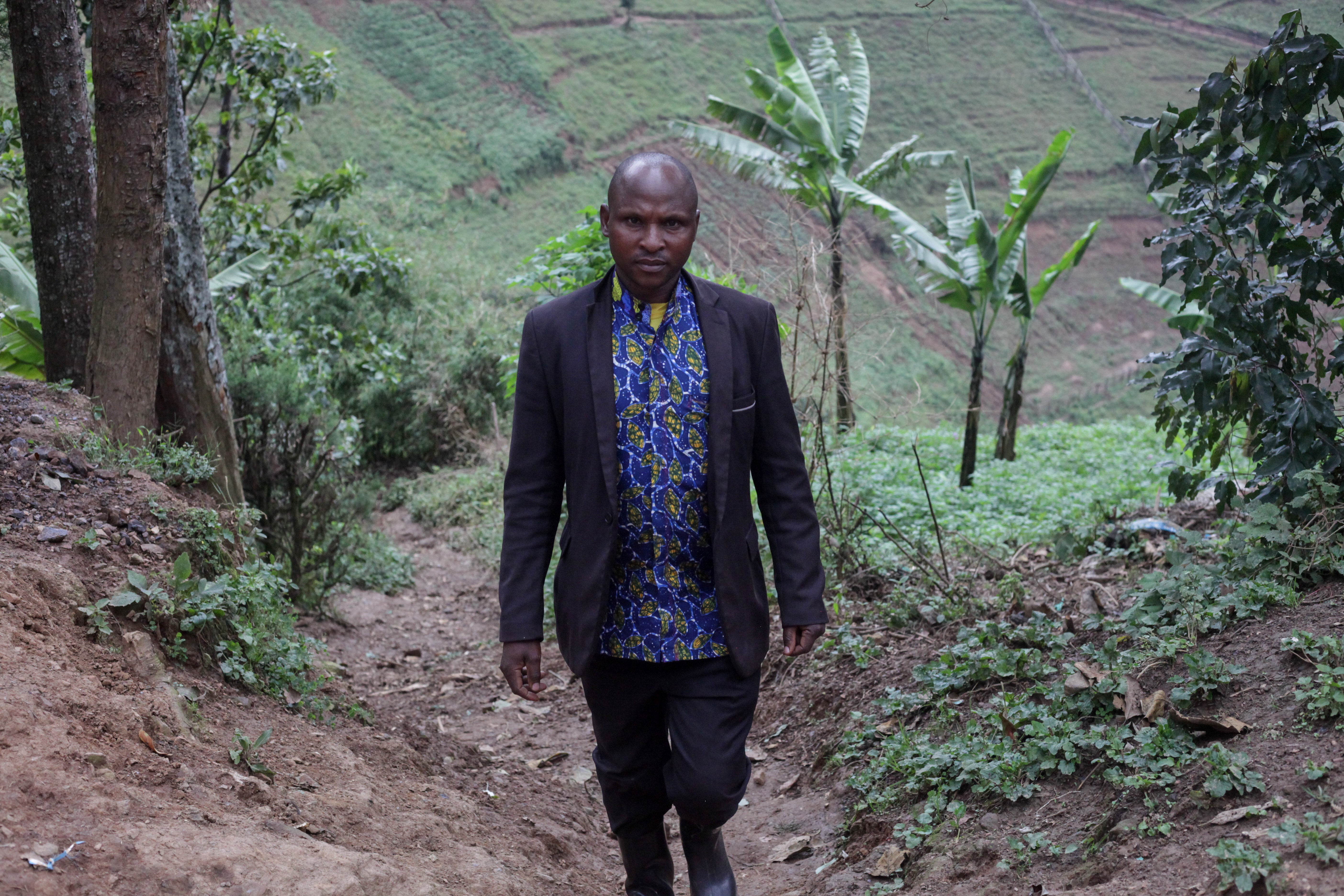 Uganda Mountain Gorillas