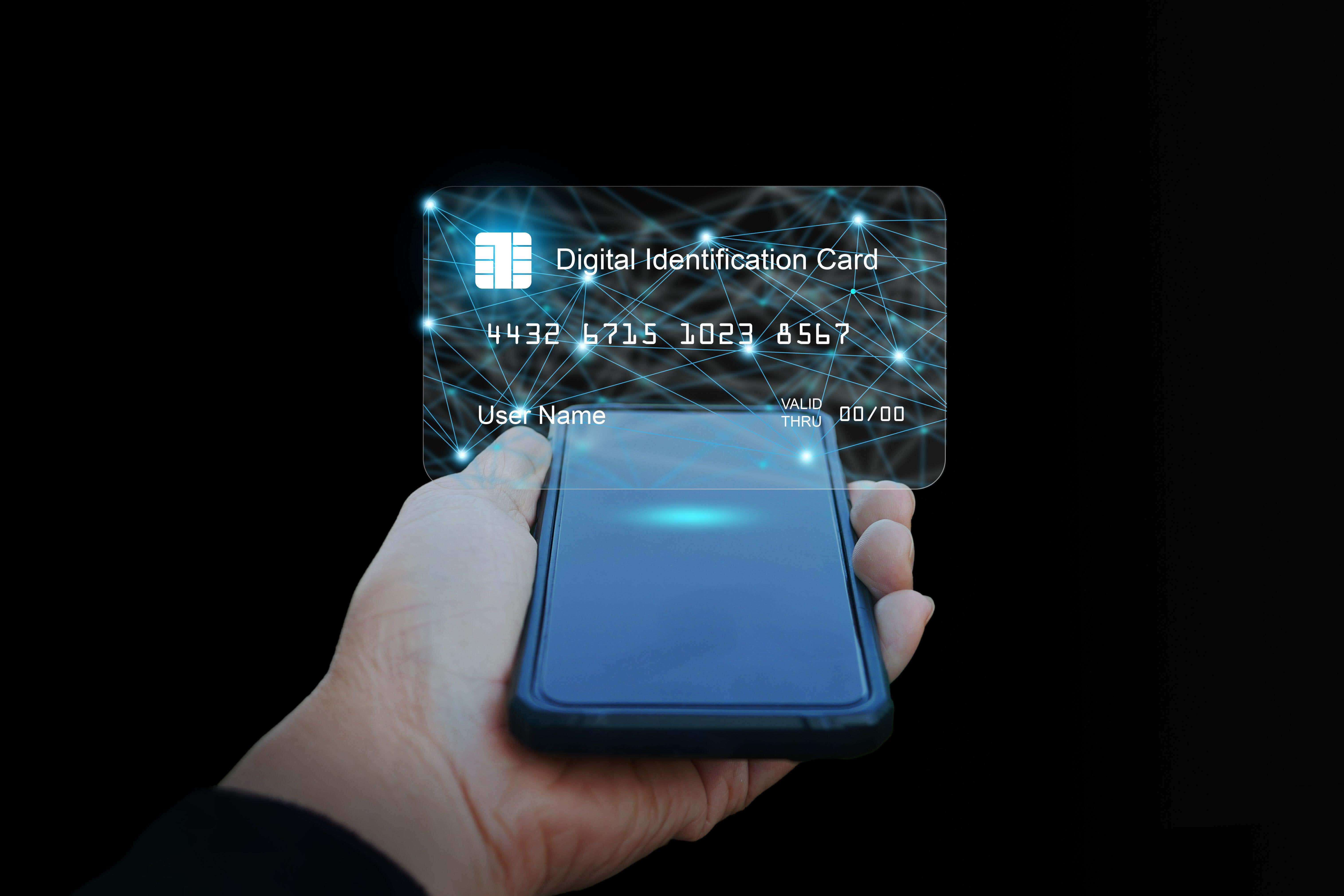 Some experts have expressed concerns that a digital ID card system could leave the country vulnerable to data security breaches