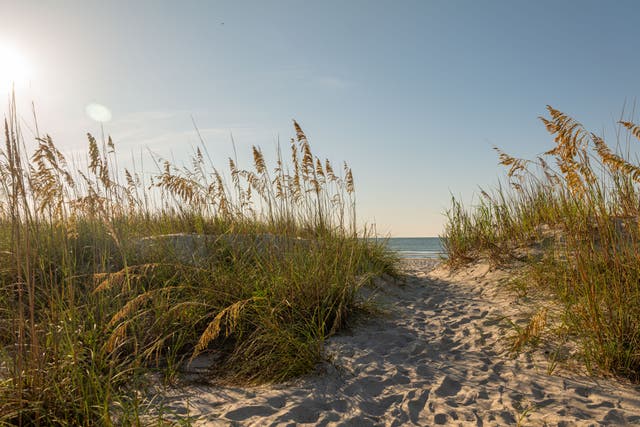 <p>Hilton Head Island in the southernmost part of South Carolina is an escape for those in the know</p>