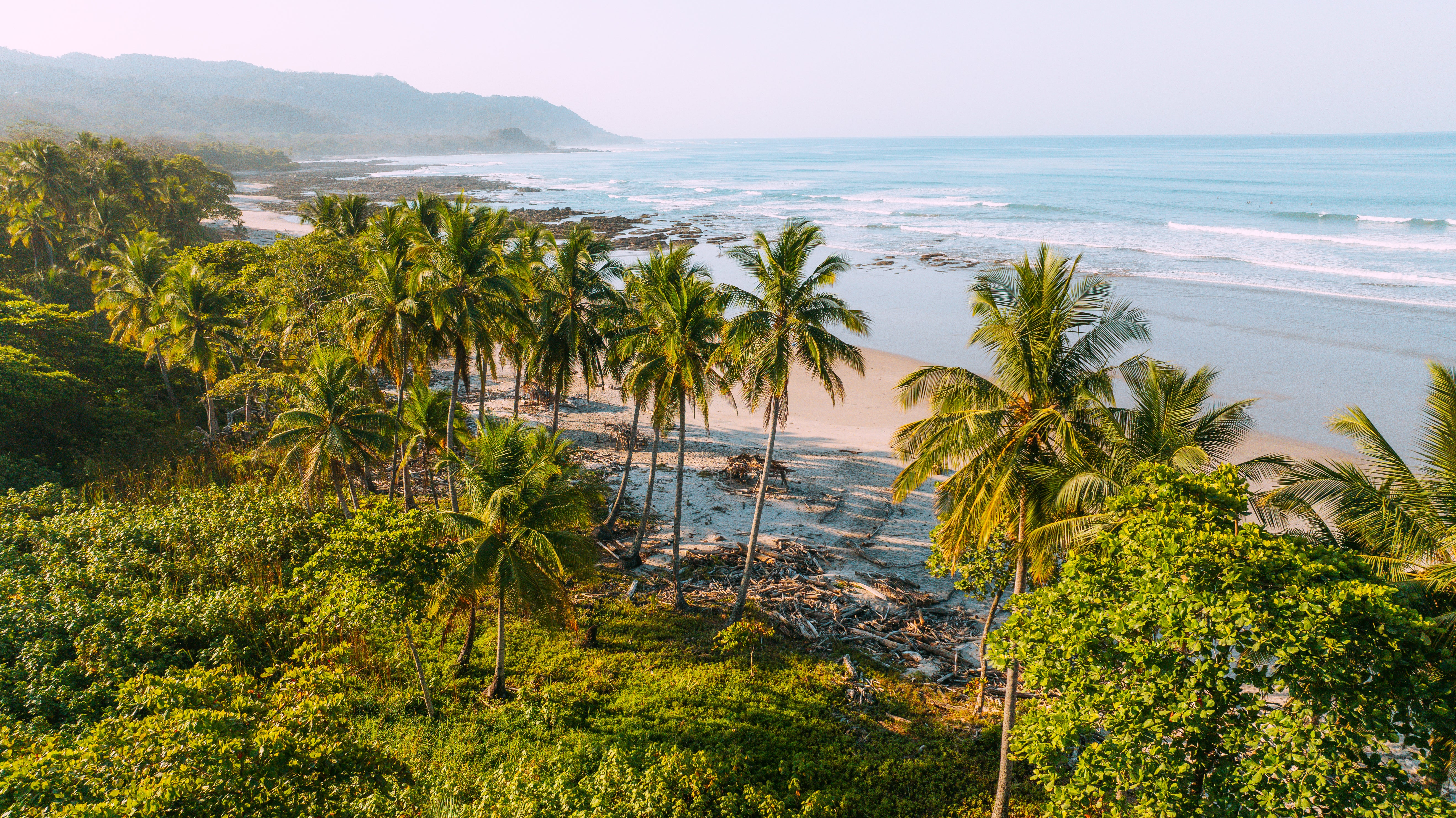Costa Rica’s rugged coasts are home to wildlife both on land and at sea
