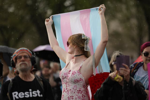 <p>Demonstrators rally for Trans Day of Visibility on the National Mall in Washington D.C., March 2025</p>