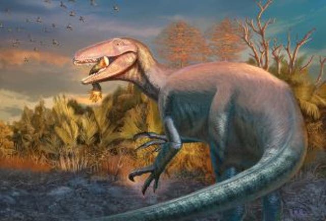 <p>Joaquinraptor life reconstruction</p>