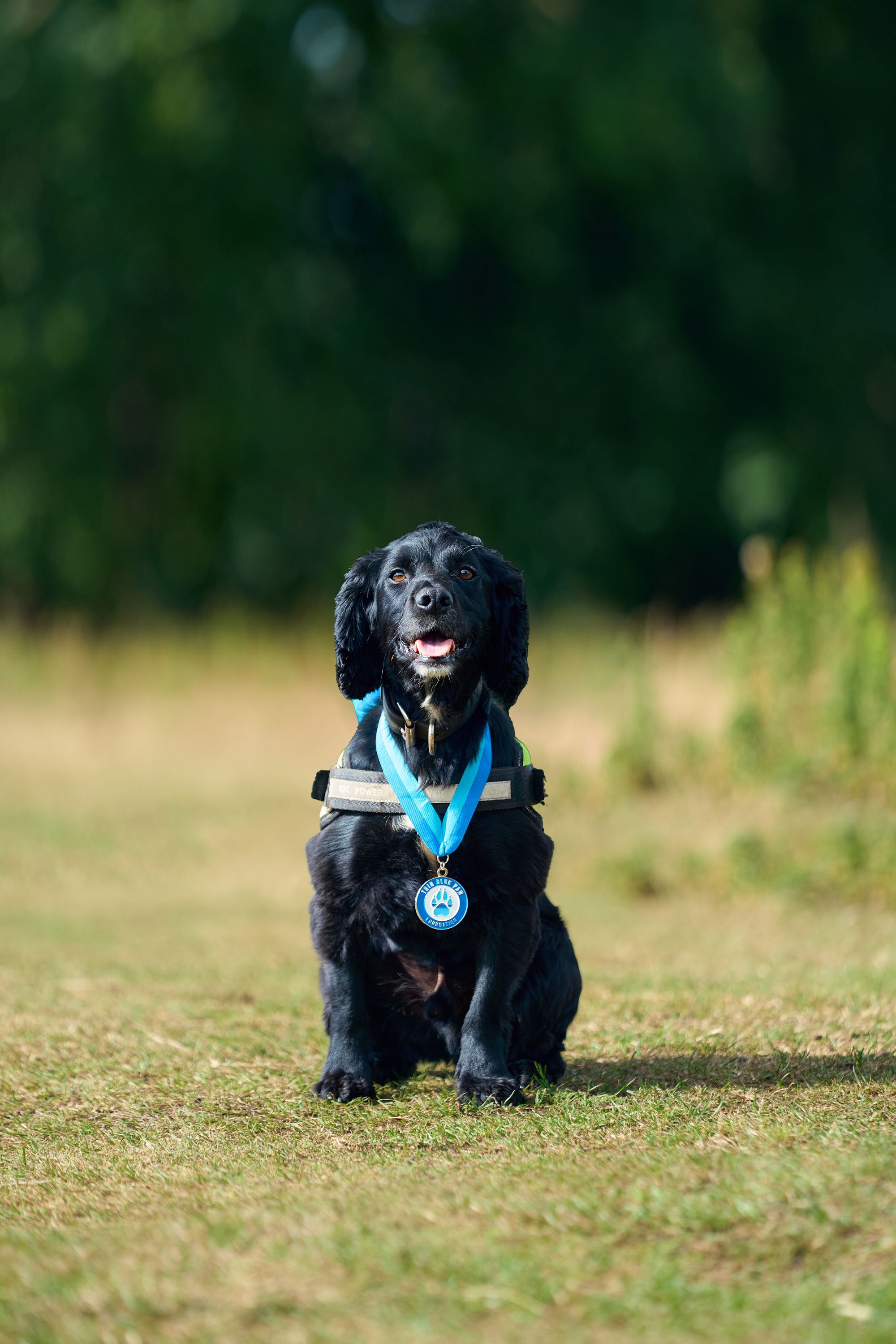 Lui was rescued from Gateshead streets and Durham became one of the first digital detection dogs of the police