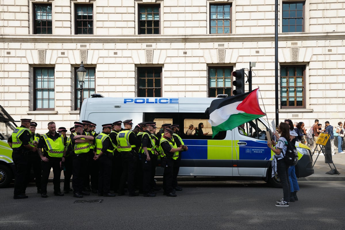 Appeal against Palestine Action ban is not an ‘exceptional’ case, Home Office lawyers argue