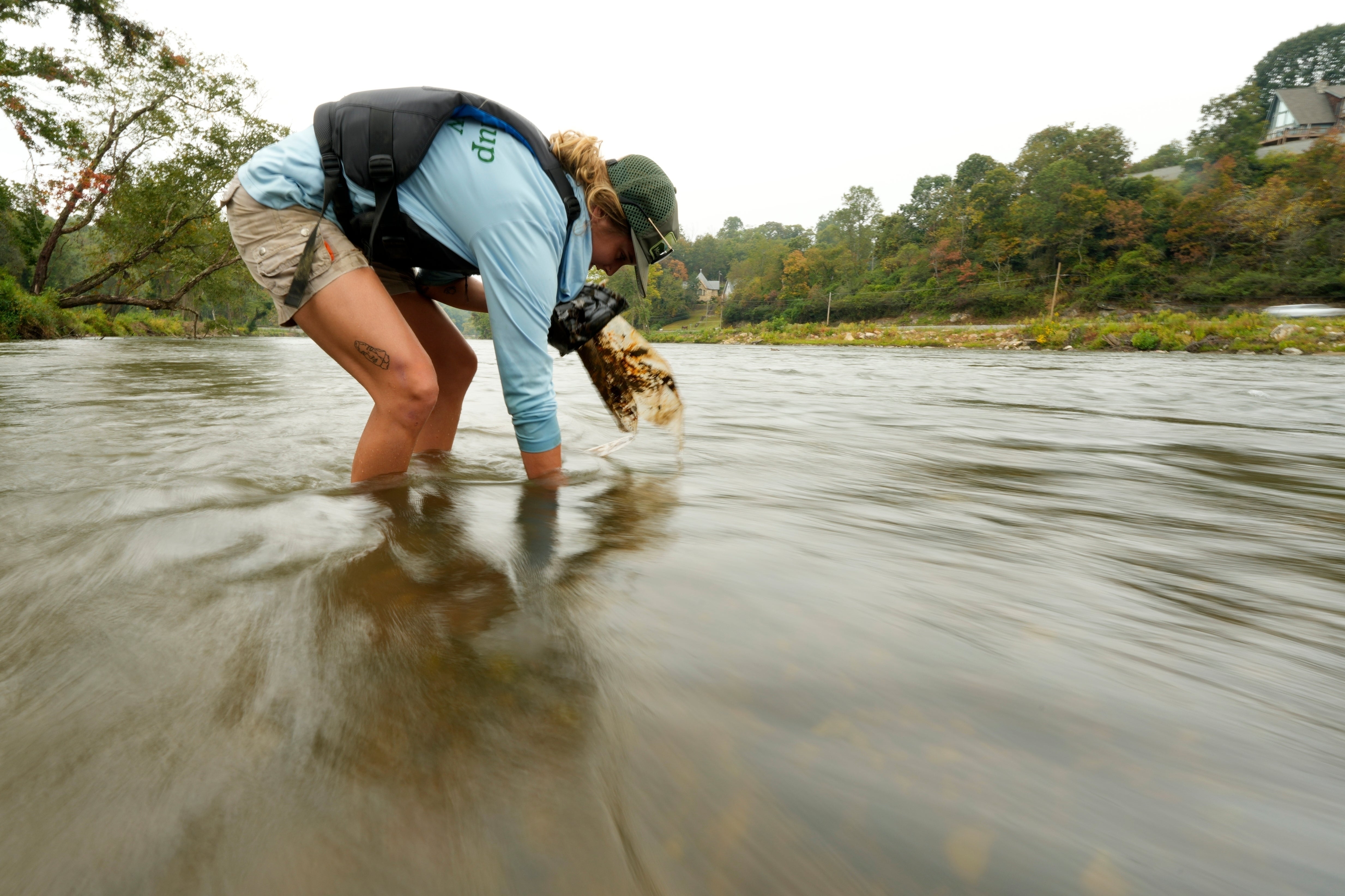 Hurricane Helene Waterways Cleanup