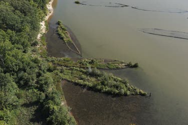 <p>In the new study, researchers filmed networks of anemones, starfish and other underwater life in the Bay of Lübeck off the coast of Germany</p>