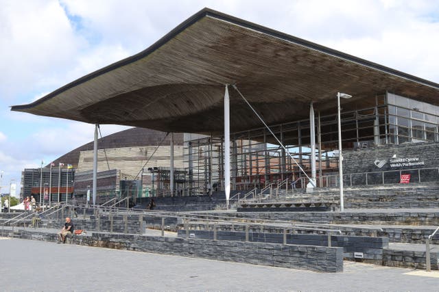 A view of the Senedd (PA)