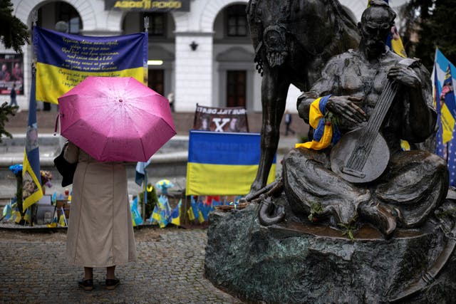 <p>A woman reads the writing on a flag at a memorial site for fallen Ukrainian soldiers </p>