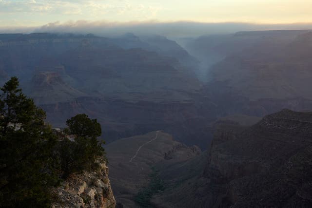 <p>Grand Canyon National Park will soon reopen portions of the North Rim to public access in the aftermath of a wildfire</p>