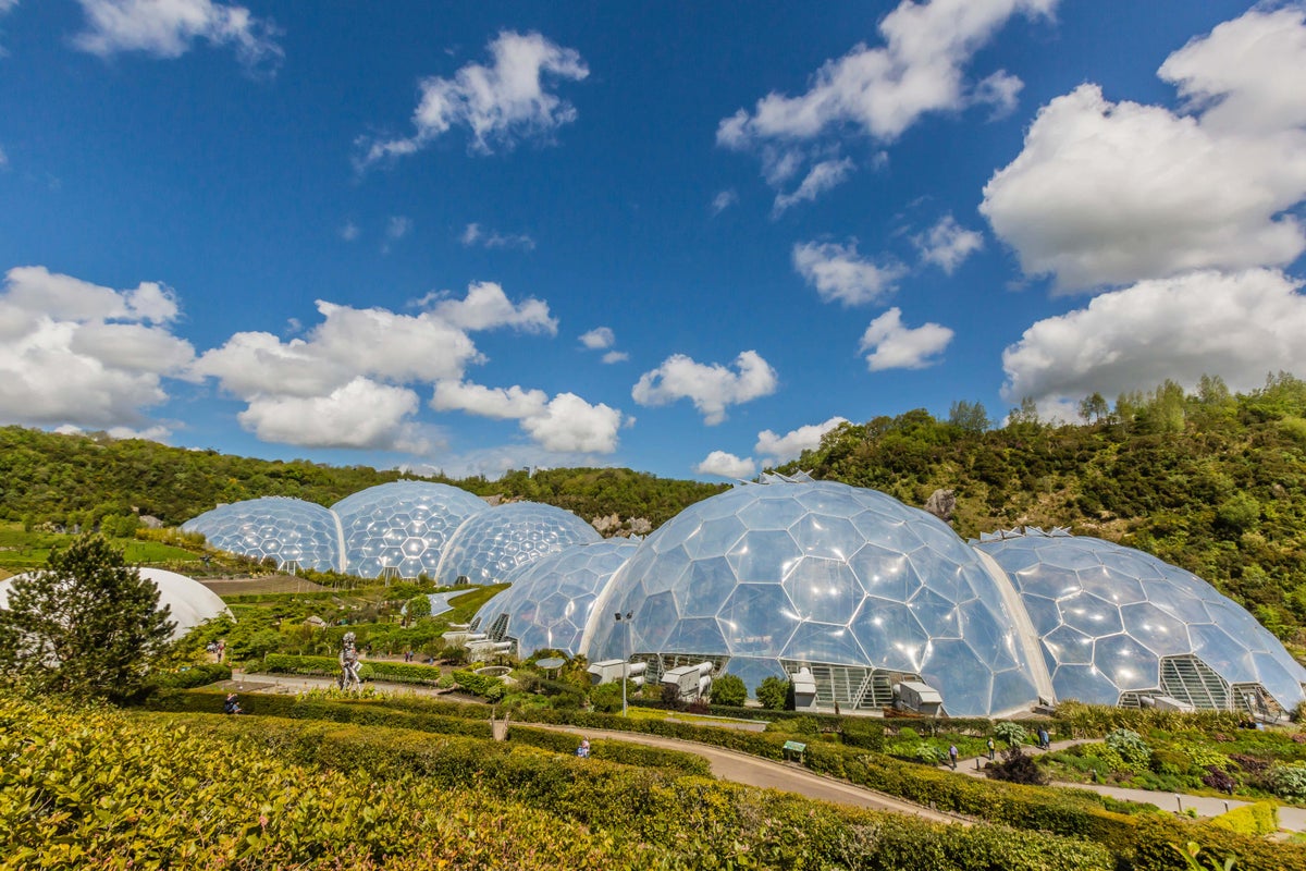 Eden Project’s losses more than double as visitor numbers fall Eden Project’s losses more than double as visitor numbers fall