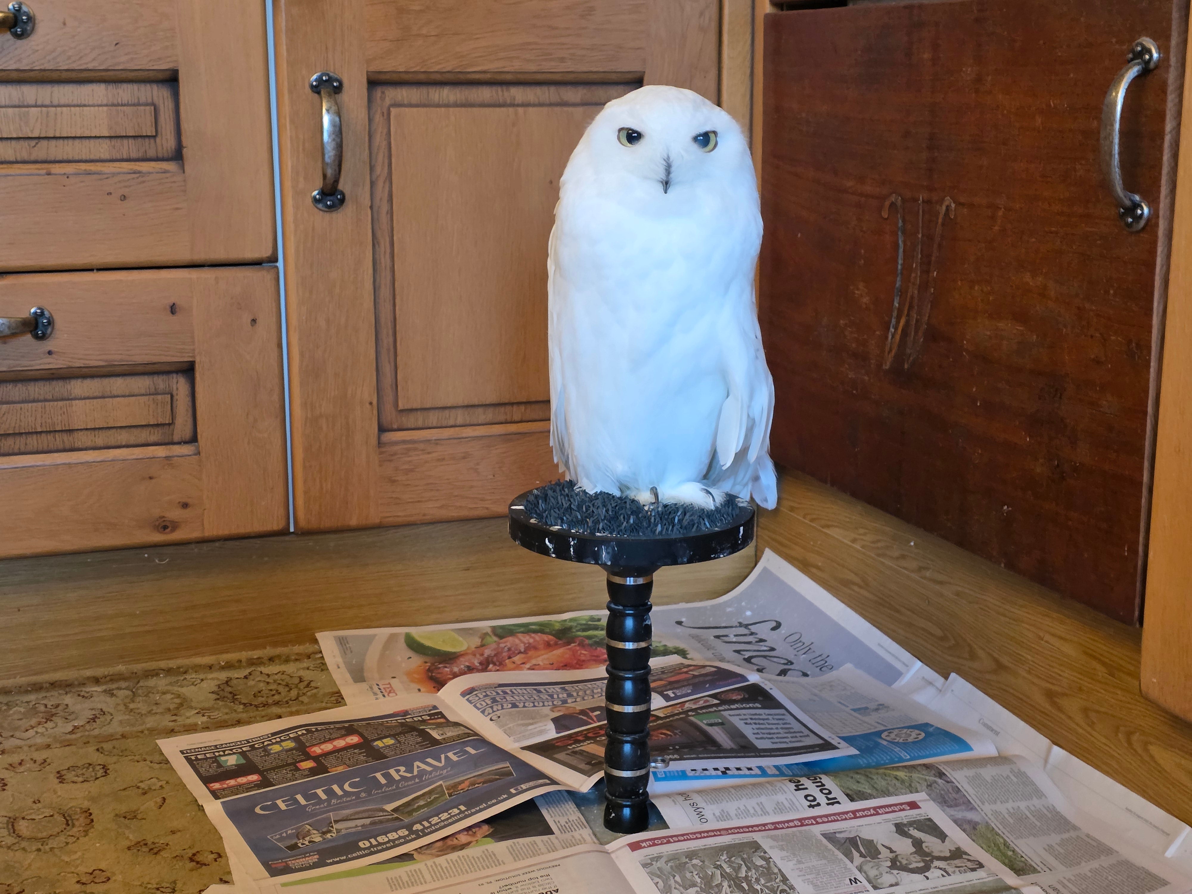 <p>Newspapers remain, long after the power goes down and the lights go out</p>