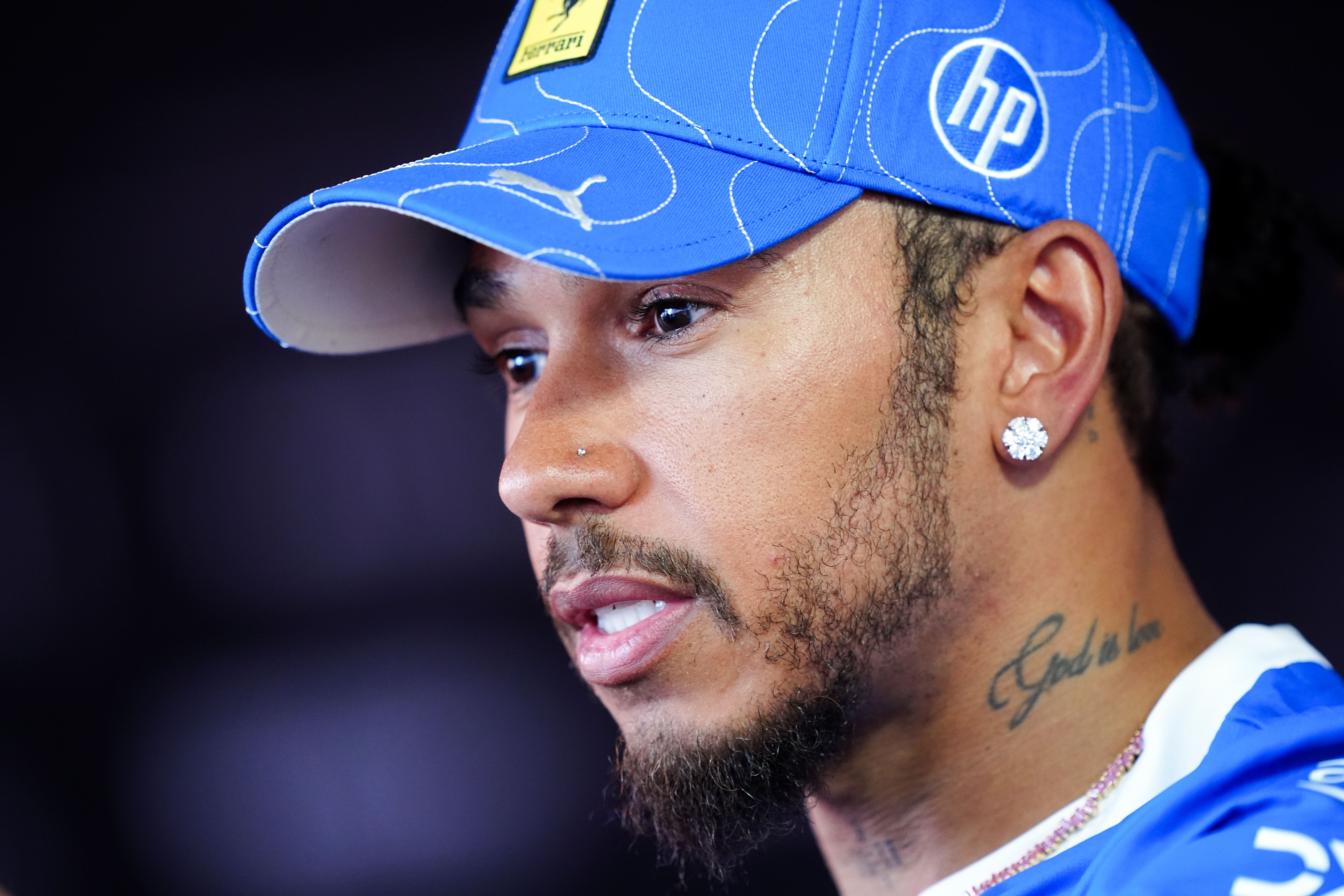 Lewis Hamilton pulls out of F1 tyre testing to be by the side of his ill dog Roscoe