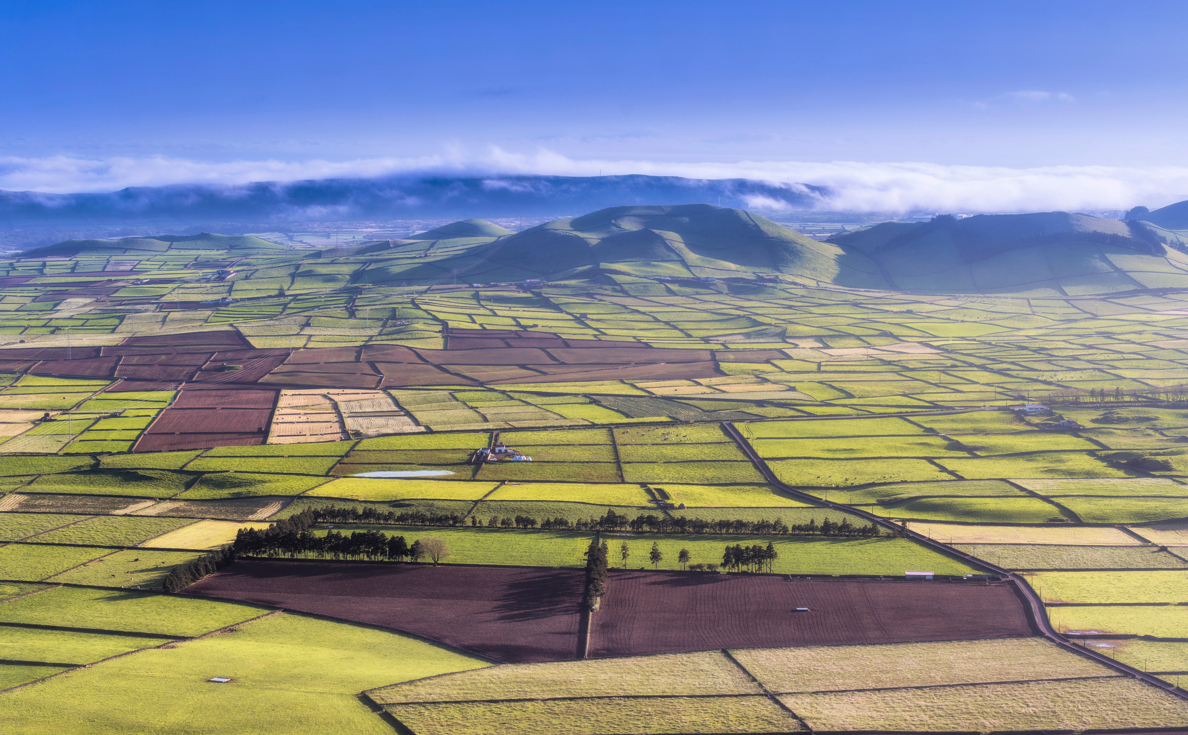 The patchwork quilt of fields on Terceira Island