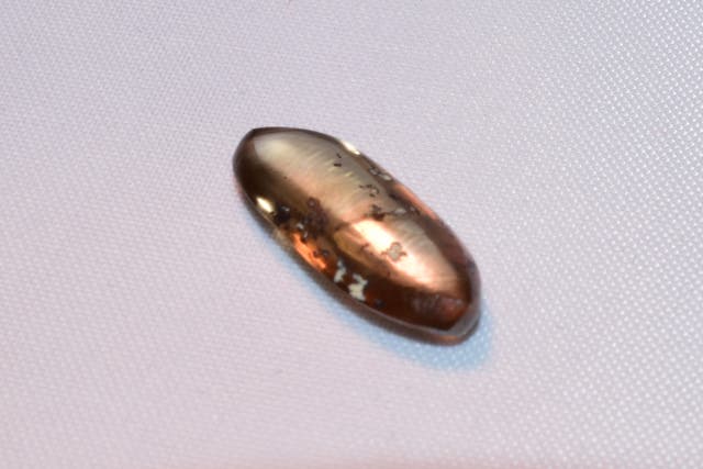 <p>The staff at the Crater of Diamonds State Park identified the stone as a 2.79-carat chocolate brown diamond</p>