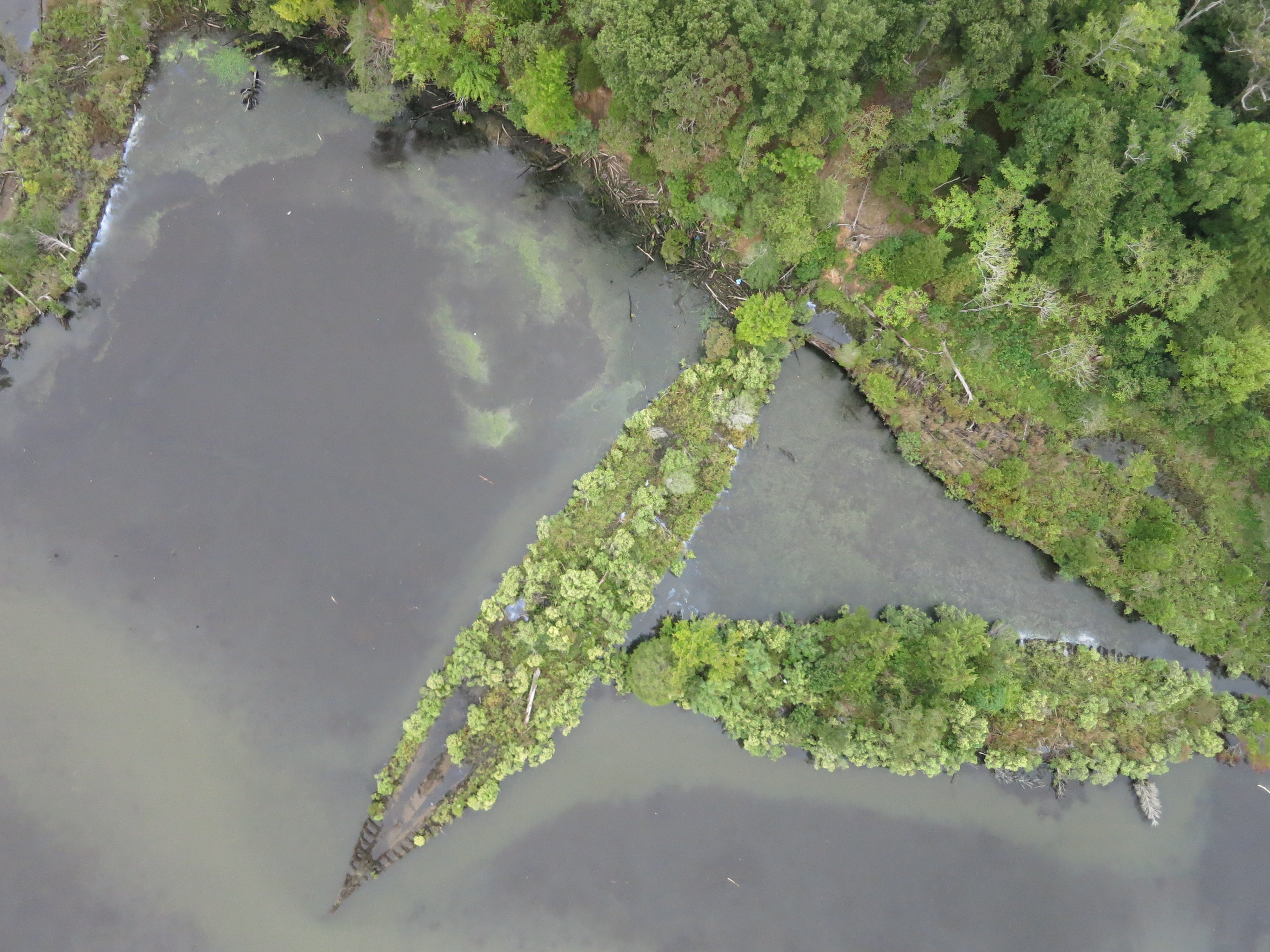 'Ghost Fleet' shipwrecks in Maryland
