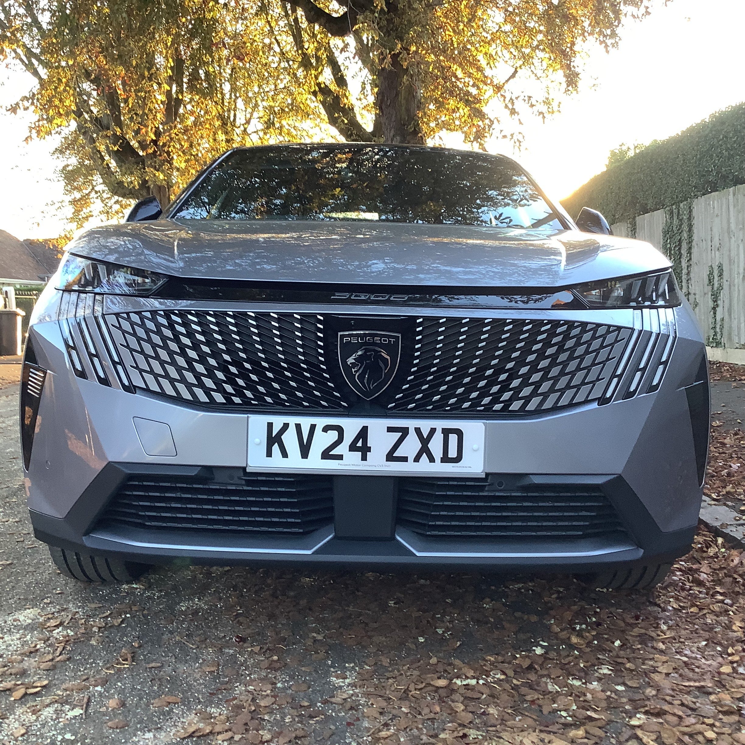 The 3008 has the nearest thing to a recognisable Peugeot ‘face’ with its ‘claw slash’ lighting and wide, gaping grille