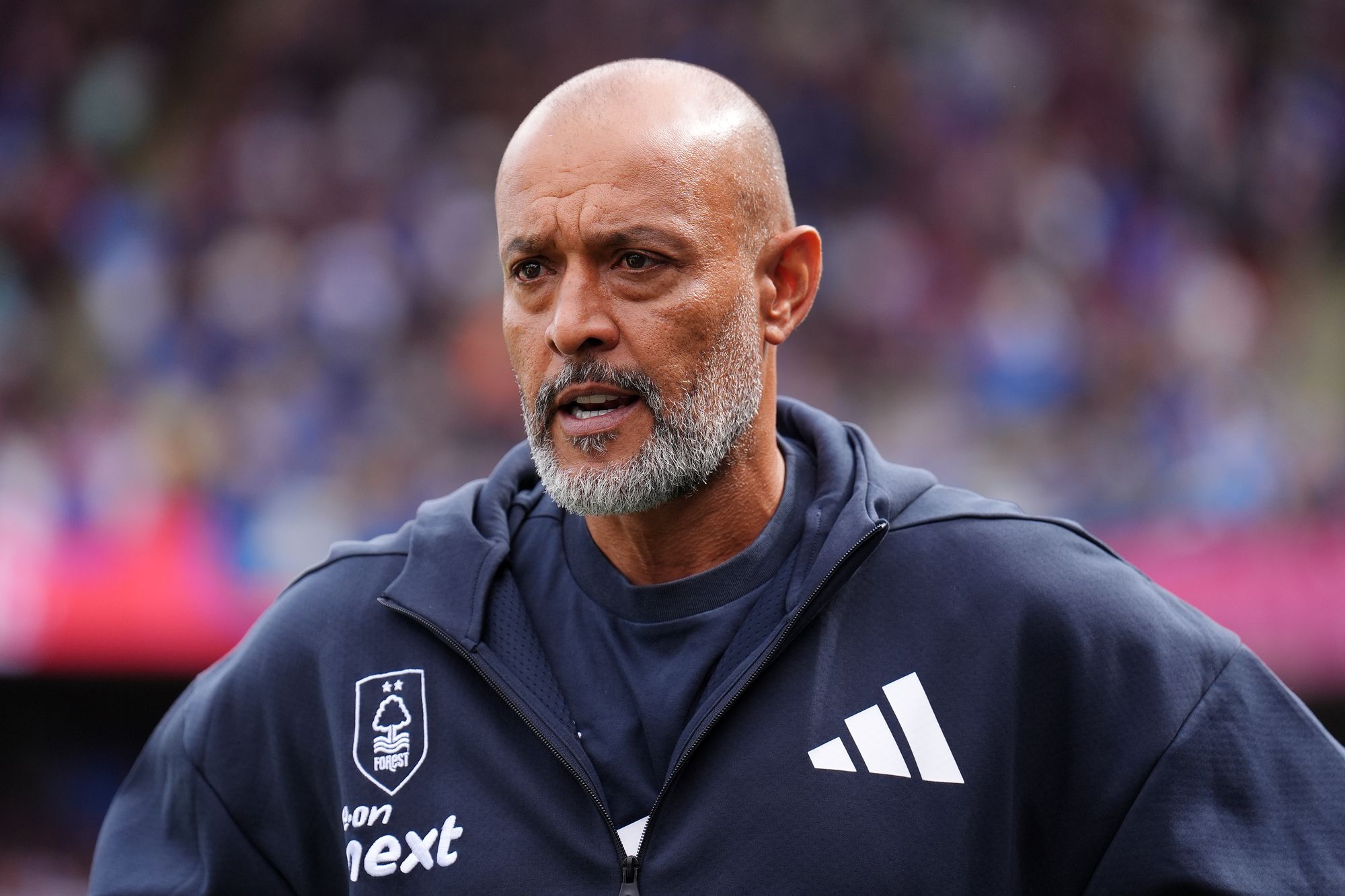 Nuno Espirito Santo is the favourite to replace Graham Potter