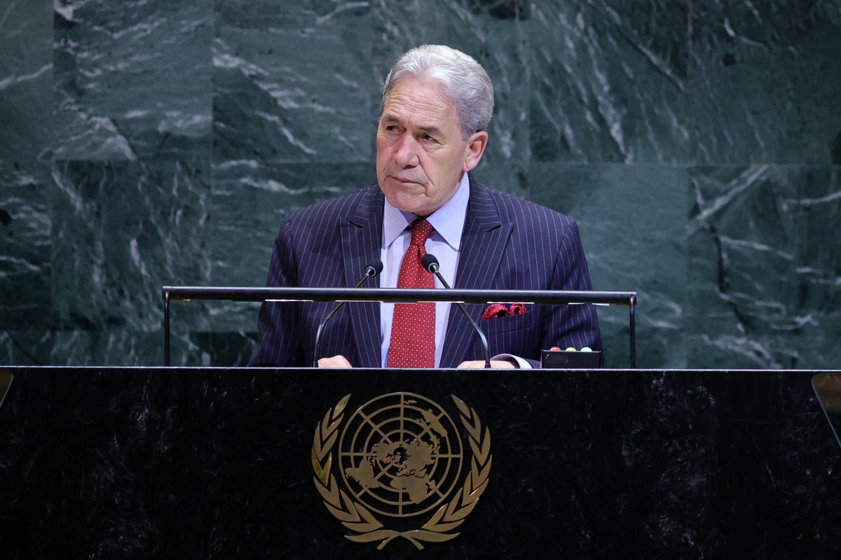 New Zealand says it is not ‘prudent’ to recognise Palestinian state ‘at this time’ New Zealand says it is not ‘prudent’ to recognise Palestinian state ‘at this time’